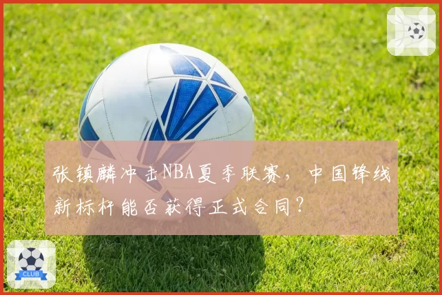 张镇麟冲击NBA夏季联赛，中国锋线新标杆能否获得正式合同？