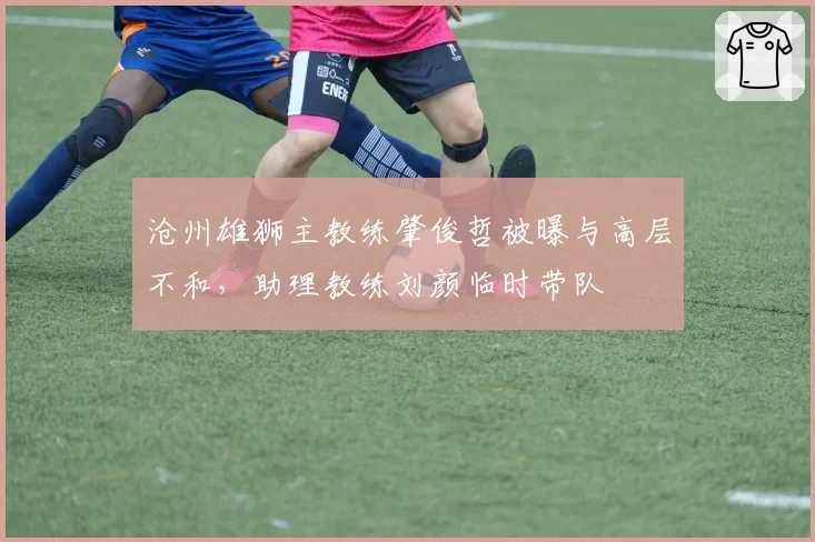 沧州雄狮主教练肇俊哲被曝与高层不和,助理教练刘颜临时带队
