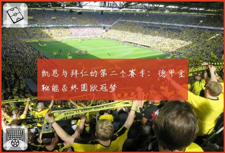 凯恩与拜仁的第二个赛季：德甲金靴能否终圆欧冠梦